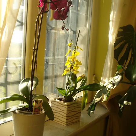 לינה וארוחת בוקר La Mia Casa Per Tutti