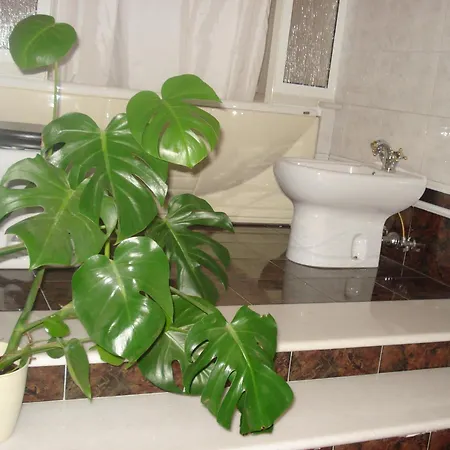 Bed & Breakfast La Mia Casa Per Tutti 3*
