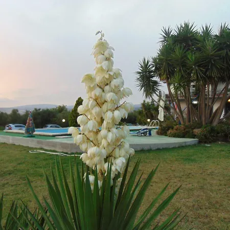 Bed & Breakfast La Mia Casa Per Tutti Cerveteri